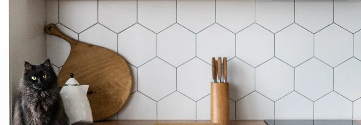 Schwarze Katze in moderner Küche